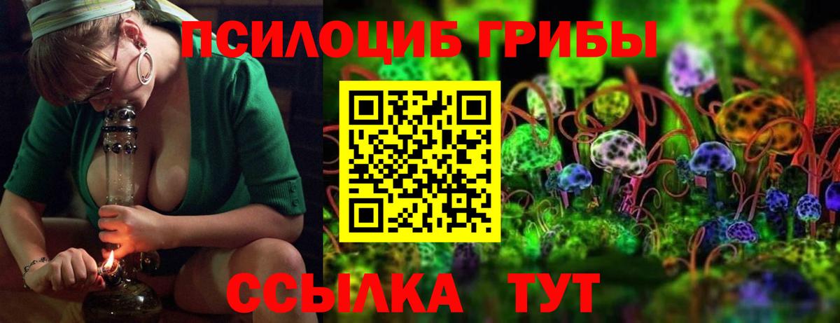 Псилоцибиновые грибы Psilocybe Королёв