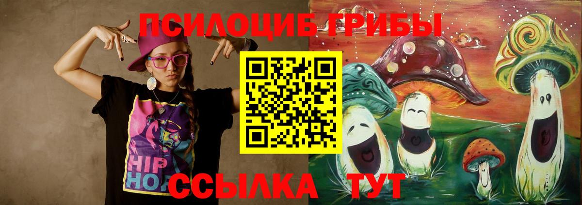 Королёв  где найти   Вход с VPN  Псилоцибиновые грибы мухоморы 